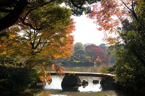 Rikugien Garden, Tokyo, 2006-12, (C) Seiji Yoshimoto